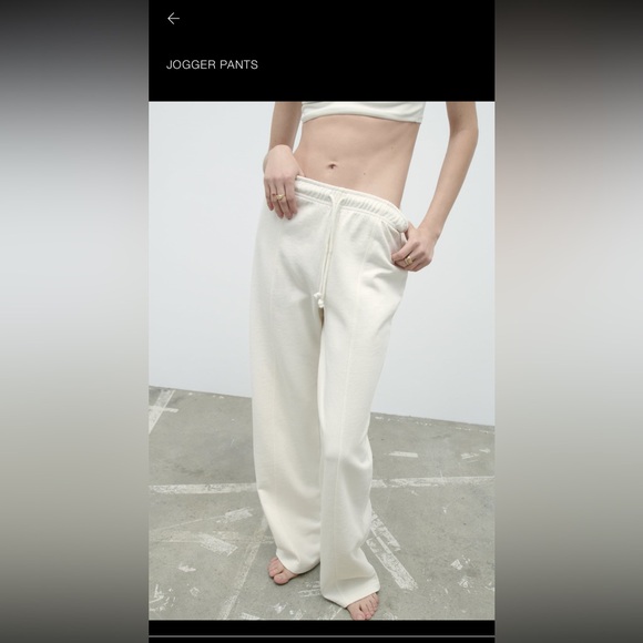ZARA JOGGER PANTS - Picture 1 of 1